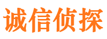 南岸私家调查公司